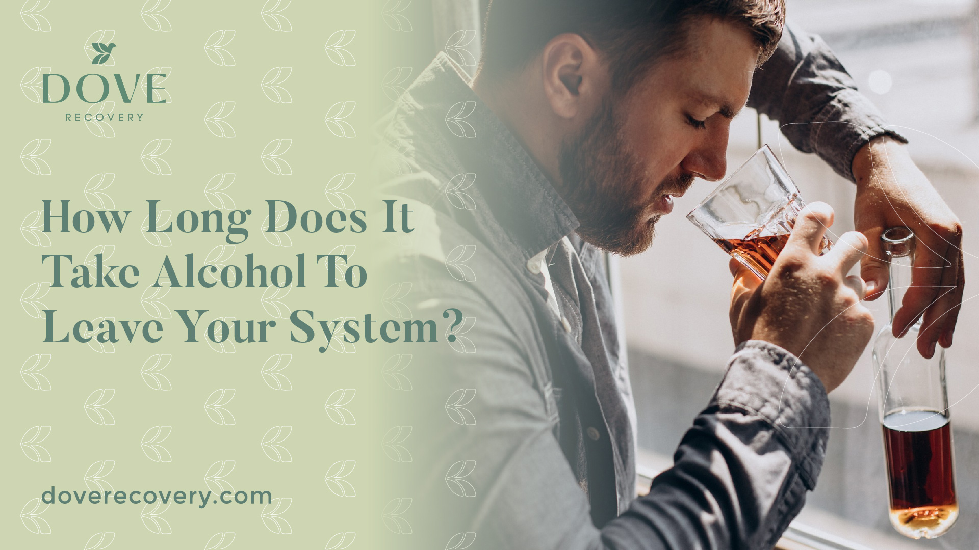 How Long Does It Take Alcohol To Leave Your System?